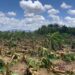 El VENTARRON