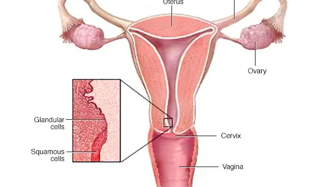 Día Mundial de la Prevención del Cáncer de Cérvix