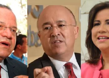 Dirigentes se pronuncian por baja votación alcanzada por PLD
