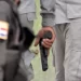 Cae abatido por la Policía presunto delincuente apodado “Ñame” en San Pedro