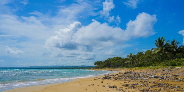 Construcciones Punta Bergantín arrancan en Agosto