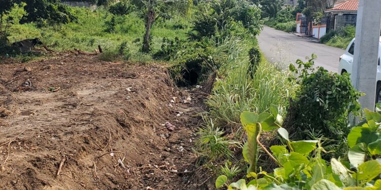Rellenan cañada en prolongación Hermanas Mirabal de Torre Alta para proyecto habitacional