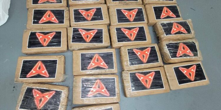 Bañista encuentra 25 paquetes de cocaína en playa de los Cayos de Florida