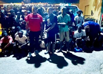 Ejército detiene camión con 38 haitianos debajo de hojas plátanos