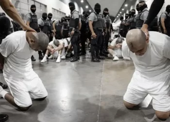 Cómo es el Cecot, la megacárcel en la que Bukele encerró a los cientos de venezolanos que el gobierno de Trump deportó a El Salvador desde Estados Unidos