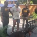 Lanzó un perro desde el piso 11 de un edificio en Bella Vista y ahora está preso