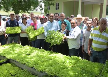En Puerto Plata el campo está bien cuidado