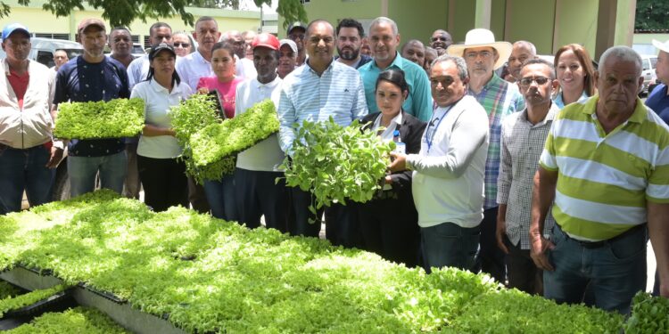 En Puerto Plata el campo está bien cuidado