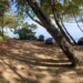 Inversionista estadounidense denuncia bloqueo a millonaria inversión turística en Puerto Plata