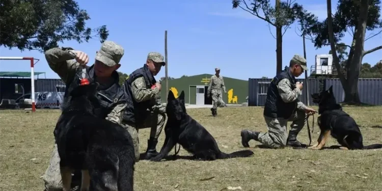 FBI imparte a fiscales y policías dominicanos un taller sobre el despliegue de unidades caninas en las investigaciones