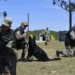 FBI imparte a fiscales y policías dominicanos un taller sobre el despliegue de unidades caninas en las investigaciones