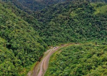 Los bosques y el agua