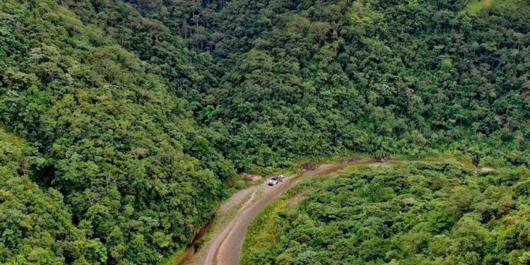 Los bosques y el agua