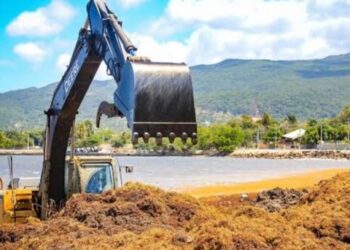 Invertirán un millón de euros enfrentar sargazo