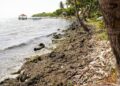 CORAAPPLATA y Ayuntamiento de Puerto Plata determinan origen de malos olores en la Poza del Castillo