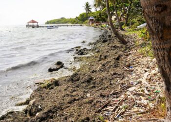 CORAAPPLATA y Ayuntamiento de Puerto Plata determinan origen de malos olores en la Poza del Castillo
