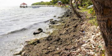CORAAPPLATA y Ayuntamiento de Puerto Plata determinan origen de malos olores en la Poza del Castillo