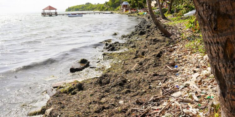 CORAAPPLATA y Ayuntamiento de Puerto Plata determinan origen de malos olores en la Poza del Castillo