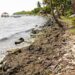 CORAAPPLATA y Ayuntamiento de Puerto Plata determinan origen de malos olores en la Poza del Castillo
